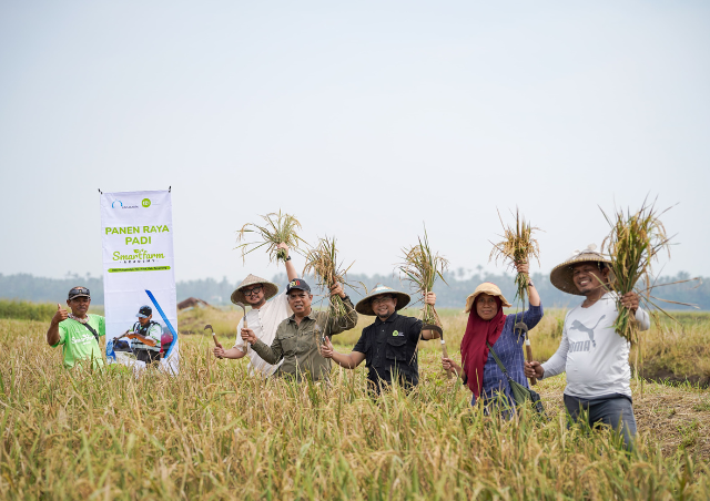 Maksimalkan Potensi Lahan Pertanian, IZI Bersama Rohis Lintasarta dan Kementan RI Berhasil Panen Raya